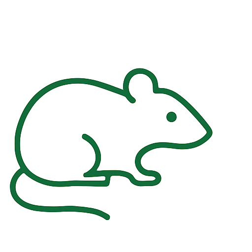 Muizen / Ratten
